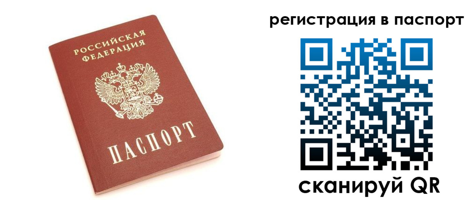 прописка штамп в Липецке